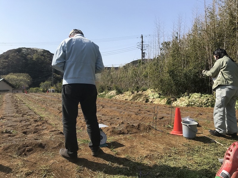 令和３年度混合堆肥の利用拡大普及事業】肥料の試験を行いました | 平凡野菜 - 海の見える横須賀の地でレタスを中心栽培する農場です。